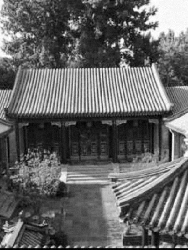 四合院王大力的快乐生活黑狐白夜
