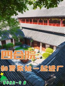 四合院和贾东旭一起进厂列表 作者春华秋实一号