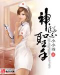 神医圣手之我被6个老婆包围着