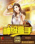 神级高手俏总裁苏南