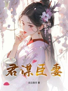 臣为君妻