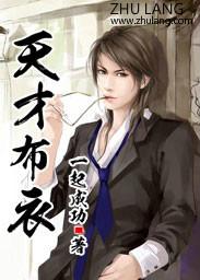 天才布衣无错版