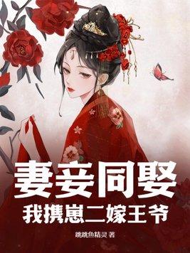 妻妾同娶我携崽二嫁王爷