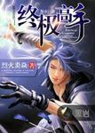 终极高手2百科