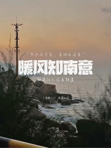 暖风之意