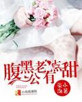 腹黑老公有点甜作者十六少主