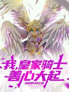 皇家骑士吧