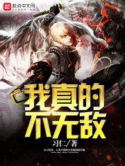 我真的不无敌了txt