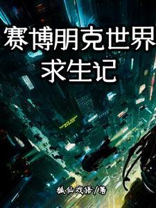 赛博朋克的世界