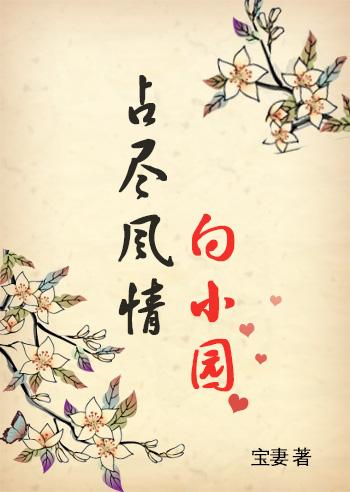 占尽风情的含义
