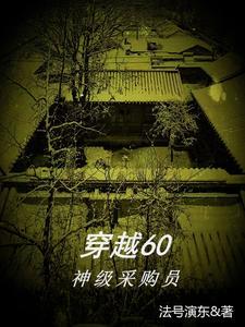 四合院开局穿越成傻柱无弹窗