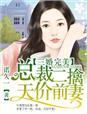总裁二娶天价前妻txtx