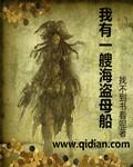 我有一搜海盗船