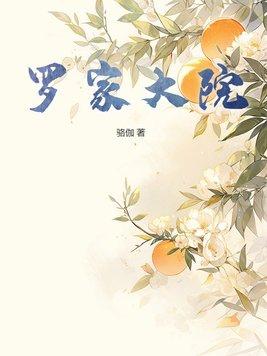 罗家大院40集免费播放