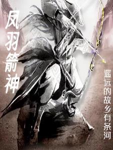 凤羽怎么用