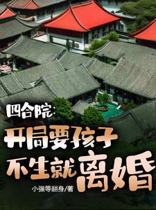 四合院娄晓娥有空间