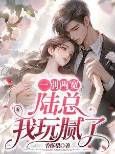 陆总我玩腻了书旗