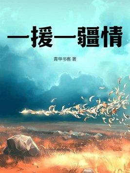 援疆力度