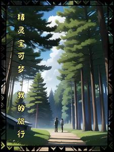 精灵宝可梦旅途介绍