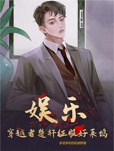 楚轩穿越hp