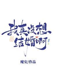 我真没想结婚啊txt魔安百度