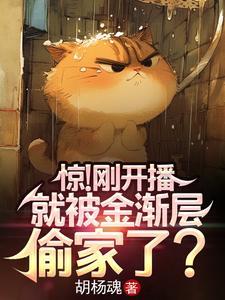 就被金渐层偷家了?