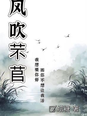 风吹什么雨打什么