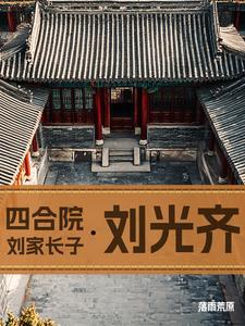 四合院刘家长子刘光齐 列表