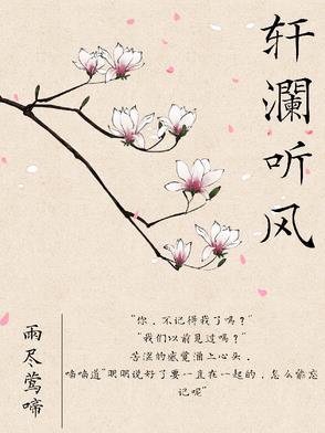 澜月听风寓意
