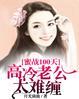 蜜婚100天总裁请节制免费阅读全文