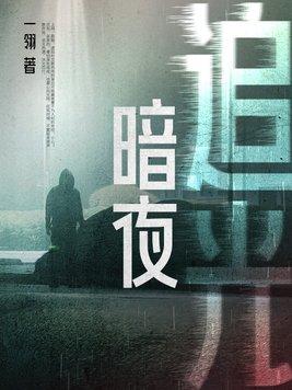 暗夜追光毒缉凶录在线观看免费版