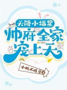 天降小福星帅府全家宠上天免费阅读