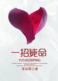 一招毙命电影