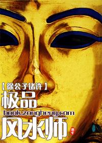 极品风水师TXT免费