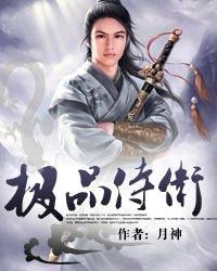 极品侍卫在线