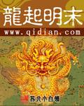 龙起明末TXT全文最新章节列表