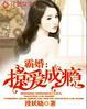 帝少暖婚宠妻
