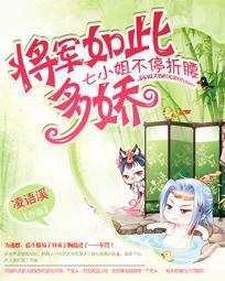 将军有七个姨太太电视剧
