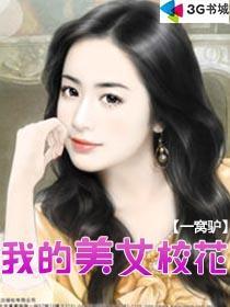 我的美女校花姐姐全文阅读