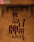 极品驸马顶点