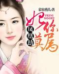 凤凰劫完整版