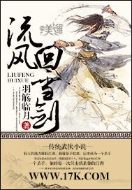 流风回雪剑化境