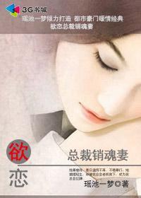 总裁的销魂夜