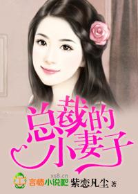 总裁的妻子大结局