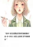 幻城同人