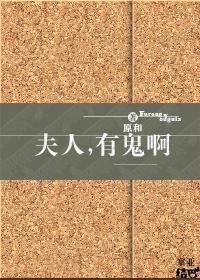 夫人又去捉鬼去了