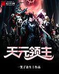 天元领主进化点