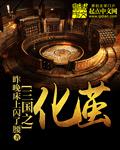 三国之化龙有雷吗
