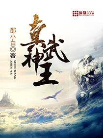 真武神王无弹窗