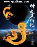 五行记账法
